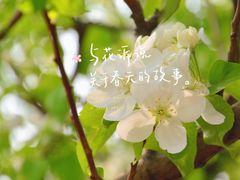 -三里河公园