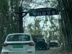 -海南热带野生动植物园