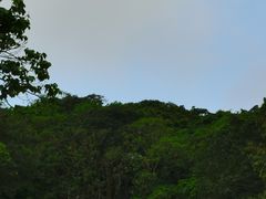 -海口火山口国家地质公园