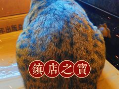 -正阳书局(西四南大街店)