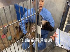 -北京派仕佳德动物医院·超导核磁·CT·神经科·骨科·内外科·急重症管理中心
