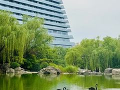 -西安曲江寒窑遗址公园