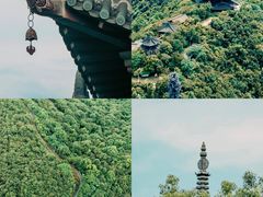 -杭州半山国家森林公园