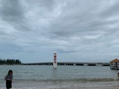 -东郊椰林