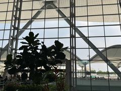 -广州白云国际机场-T2航站楼