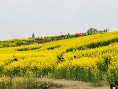 -三圣花乡旅游区