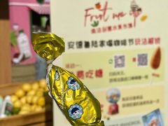 -陆家嘴中心绿地