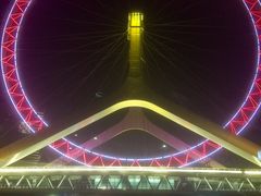 -海河游船-永乐码头(大悲院)