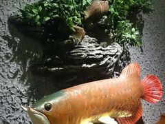 android_upload_pic-富侨养生(康乾店)