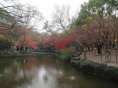 -秋霞圃