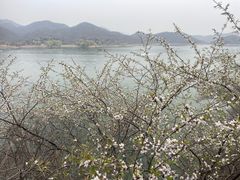 -易水湖景区