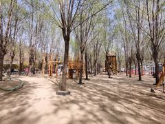 -西部长青自然儿童乐园