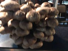 -先机泉水鸡汤(南山老君洞店)