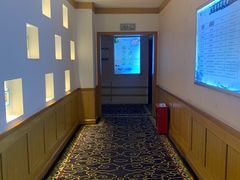 -圣爵菲斯大酒店(长沙世界之窗店)