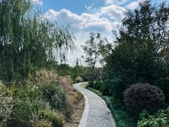 -上海浦江郊野公园-5号停车场