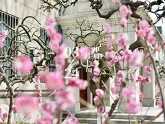 -山东大学(趵突泉校区)