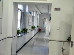 -派美特宠物医院·核磁CT·骨科肿瘤·疑难转诊(沈农禾丰店)