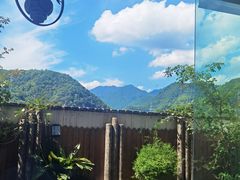 -石台牯牛降景区
