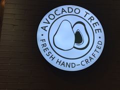 -油梨树 AVOCADO TREE(亮马桥店)