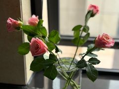 -循礼门鲜花花市(武汉循礼门店)