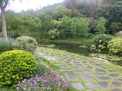 -云溪植物园