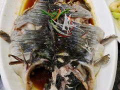 清蒸清江鱼-金阁家常菜(贵阳路店)