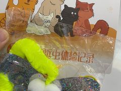 -纳吉亚猫专科动物诊疗中心(蒋宅口分院)