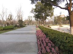 -圩墩遗址公园