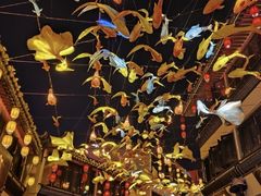 -花博汇(知音花月夜)