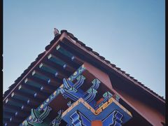 -长沙黑麋峰国家森林公园