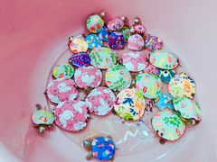 -万商花鸟市场
