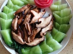 -爱月宝月嫂·育儿嫂(哈尔滨总店)