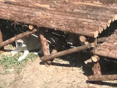 -泉州海丝野生动物世界