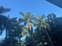 -南山文体中心-游泳馆