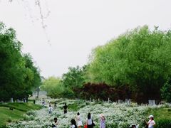 -汉长安城未央宫国家考古遗址公园