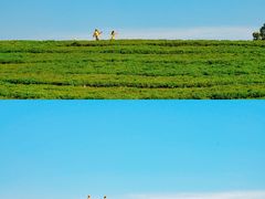 -海埂大坝