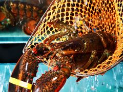 -River Café 海鲜自助(重庆丽笙世嘉酒店)