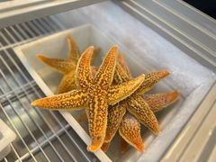 -众想海鲜·烧烤·海肠捞饭·渔家菜(孙家疃店)