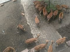 -黔灵山公园-南门售票处