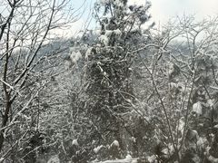 -东流山烤鸭·家常菜(巢湖万达店)