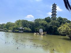 -江心屿景区