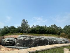 -三水森林公园