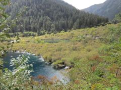 -九寨沟-树正沟