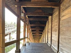 -奈良公园