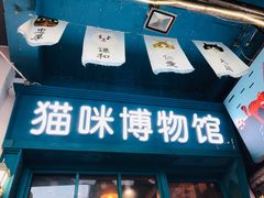 -猫咪博物馆(顶澳仔猫街店)