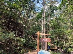 -大岭沟猕猴桃谷风景区