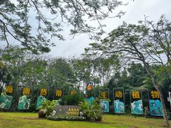 -海南热带野生动植物园