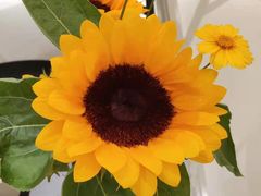 -上海静和门诊部