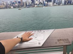 -星光大道