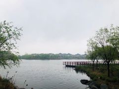 -杭州湾海上花田景区